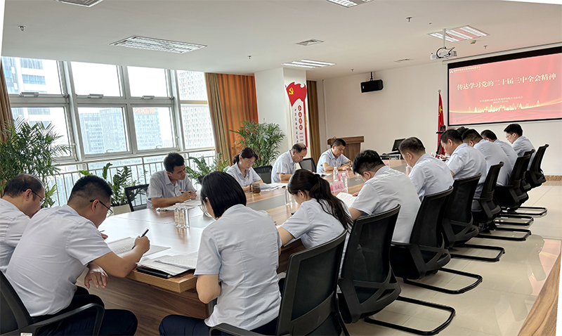 304am永利集团召开党委扩大会议 传达学习党的二十届三中全会精神